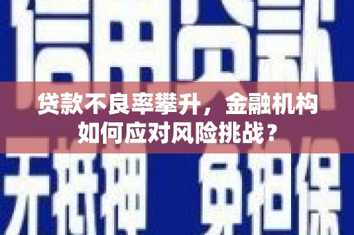 定远贷款不良率攀升，金融机构如何应对风险挑战？