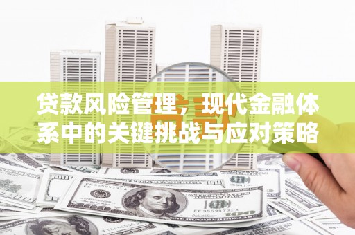 定远贷款风险管理，现代金融体系中的关键挑战与应对策略