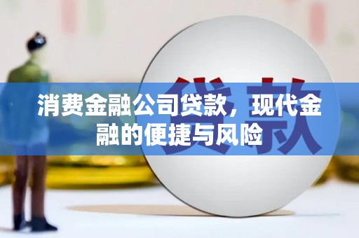 定远消费金融公司贷款，现代金融的便捷与风险