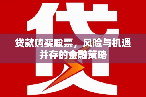 定远贷款购买股票，风险与机遇并存的金融策略