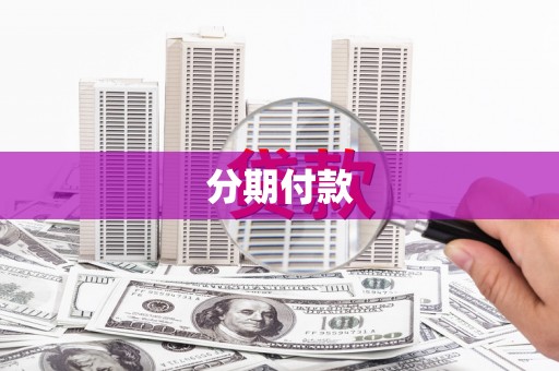 定远分期付款