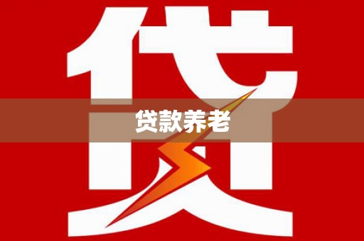 定远贷款养老