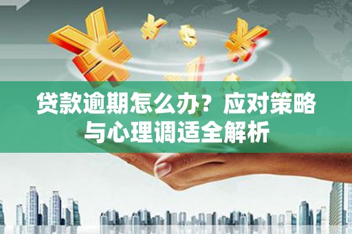 定远贷款逾期怎么办？应对策略与心理调适全解析