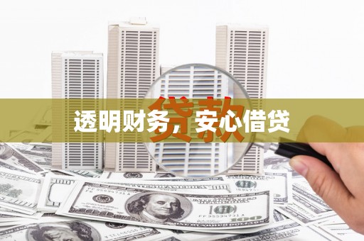 定远透明财务，安心借贷