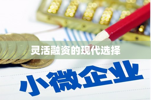定远灵活融资的现代选择