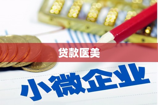 定远贷款医美