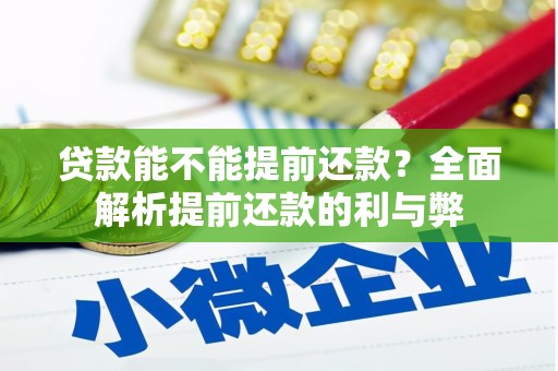 定远贷款能不能提前还款？全面解析提前还款的利与弊
