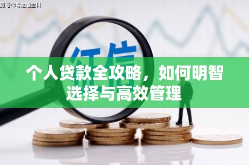 定远个人贷款全攻略，如何明智选择与高效管理
