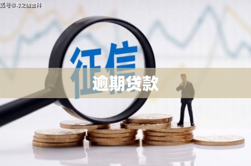 定远逾期贷款