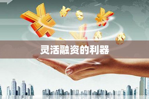 定远灵活融资的利器