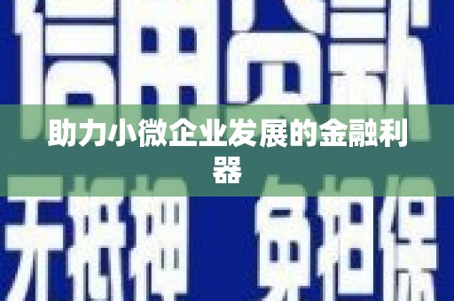 定远助力小微企业发展的金融利器