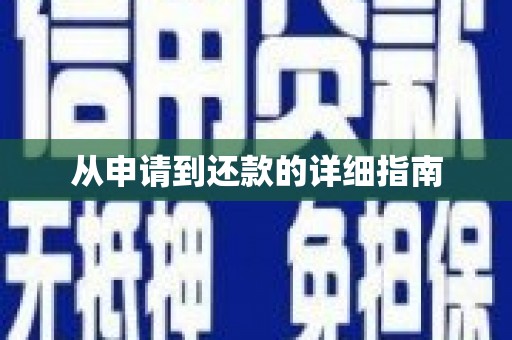 定远从申请到还款的详细指南