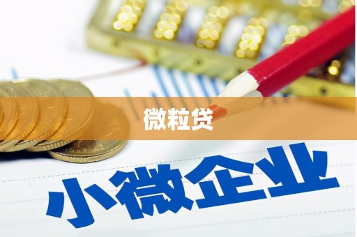 定远微粒贷