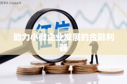 定远助力小微企业发展的金融利器
