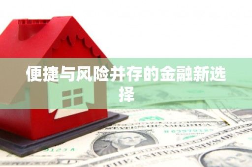 定远便捷与风险并存的金融新选择
