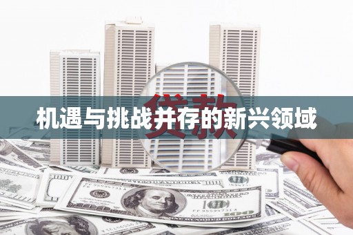 定远机遇与挑战并存的新兴领域