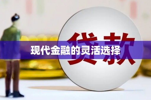定远现代金融的灵活选择