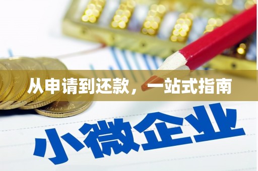 定远从申请到还款，一站式指南