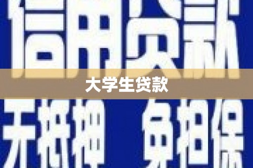 定远大学生贷款