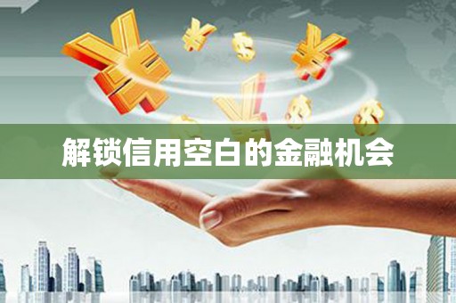 定远解锁信用空白的金融机会