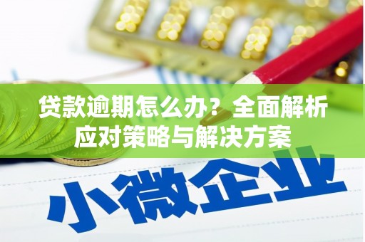 定远贷款逾期怎么办？全面解析应对策略与解决方案
