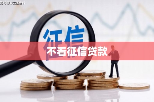 定远不看征信贷款