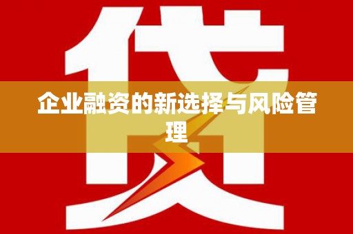 定远企业融资的新选择与风险管理