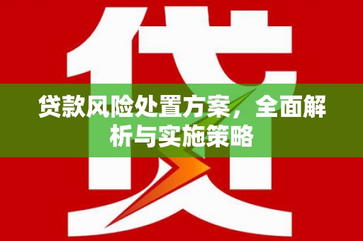 定远贷款风险处置方案，全面解析与实施策略