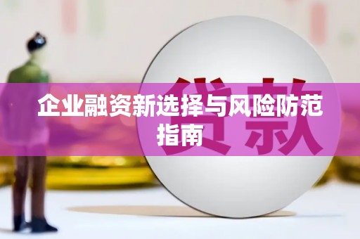 定远企业融资新选择与风险防范指南