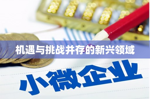 定远机遇与挑战并存的新兴领域