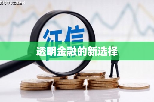 定远透明金融的新选择