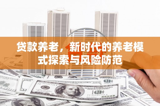 定远贷款养老，新时代的养老模式探索与风险防范