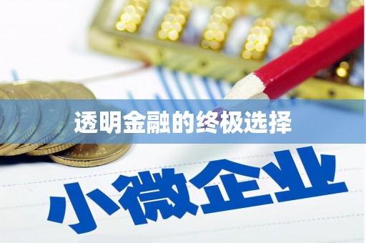 定远透明金融的终极选择