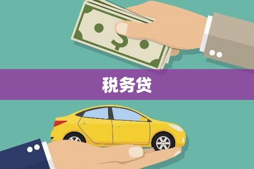 定远税务贷