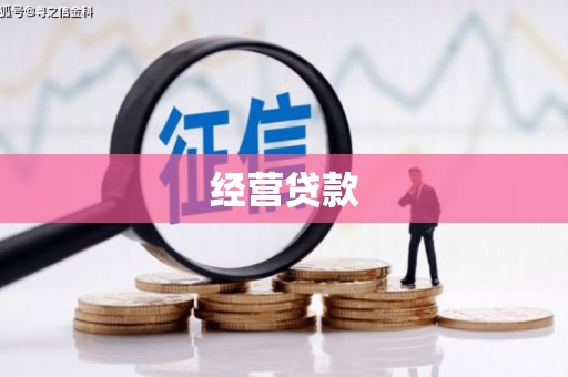 定远经营贷款
