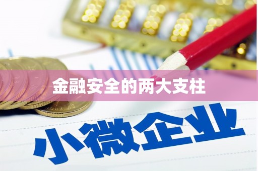 定远金融安全的两大支柱