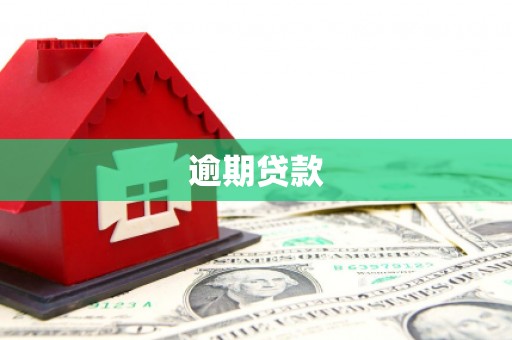定远逾期贷款