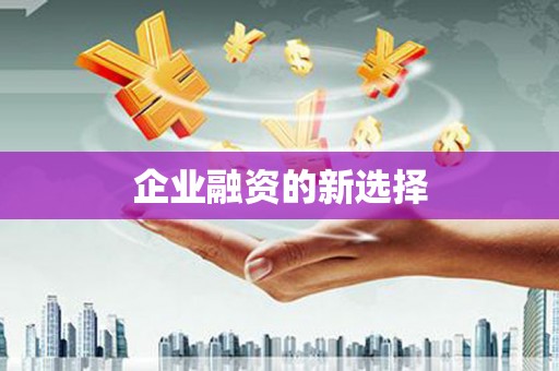 定远企业融资的新选择