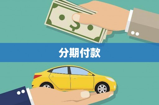 定远分期付款