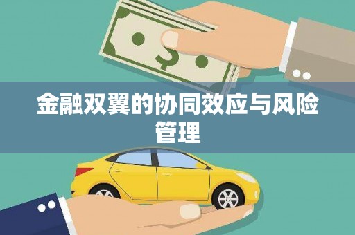 定远金融双翼的协同效应与风险管理
