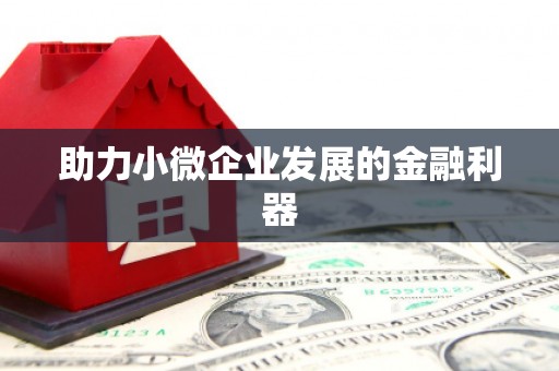 定远助力小微企业发展的金融利器