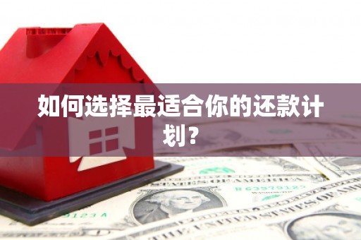 定远如何选择最适合你的还款计划？