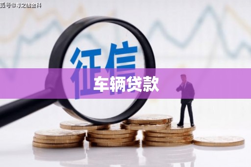 定远车辆贷款
