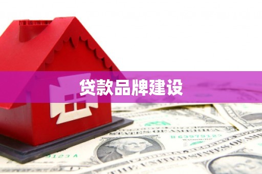 定远贷款品牌建设