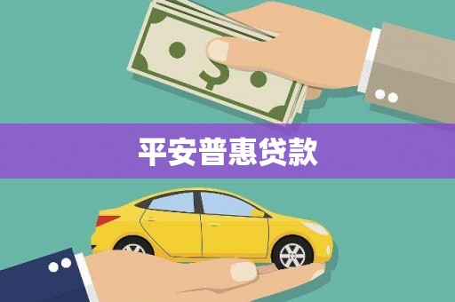 定远平安普惠贷款