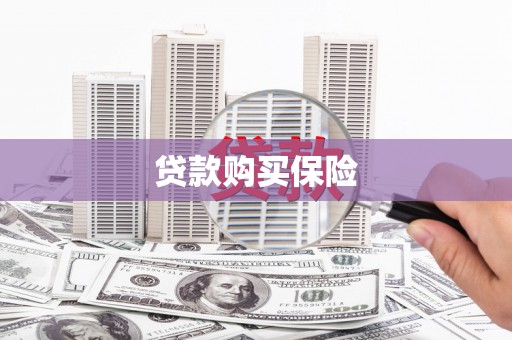定远贷款购买保险