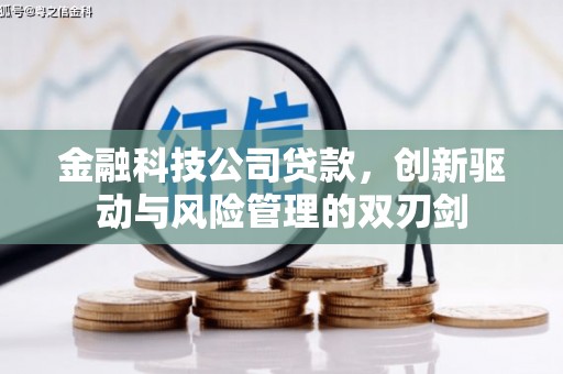 定远金融科技公司贷款，创新驱动与风险管理的双刃剑