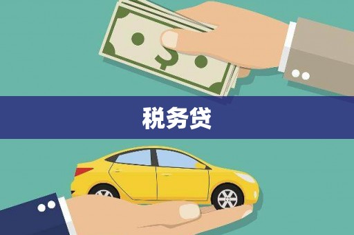 定远税务贷